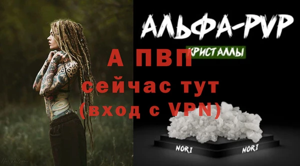 дмт Мегион