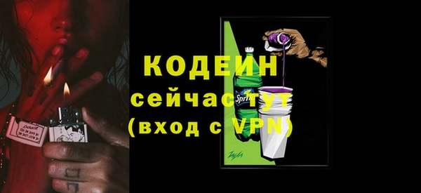 дмт Мегион