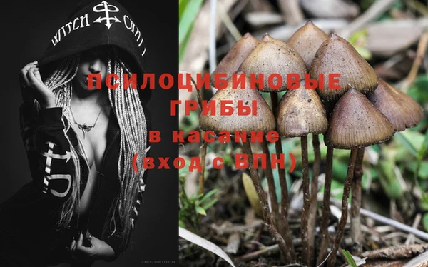 дмт Мегион