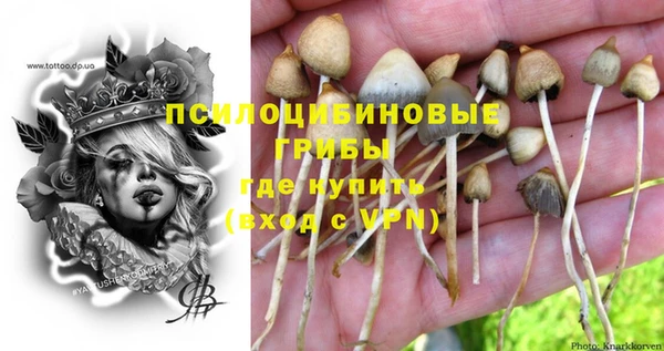 ALPHA PVP Медвежьегорск