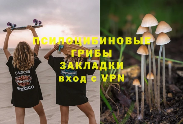 твердый Артём
