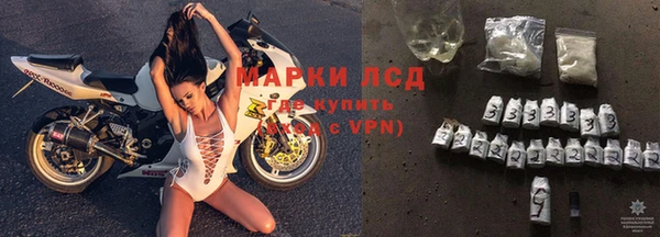 a pvp Магас