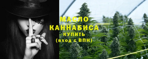 дмт Мегион