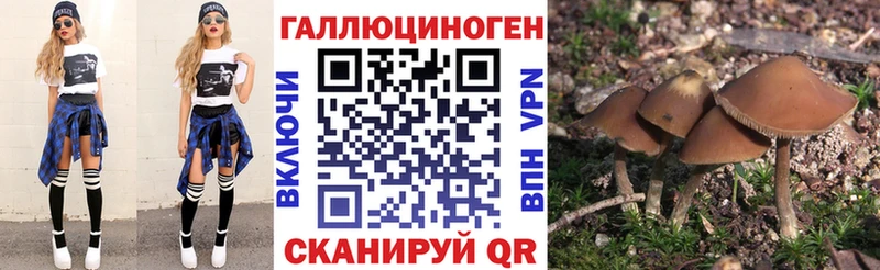 даркнет сайт  ссылка на мегу ссылки  Галлюциногенные грибы мухоморы  Жуков 