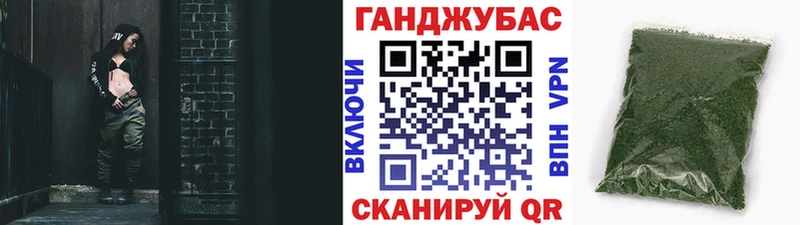 Конопля сатива Жуков